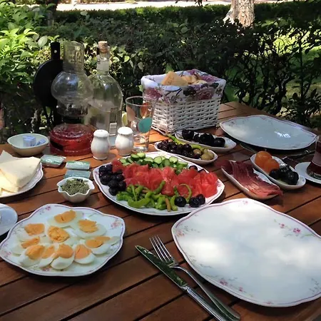 Hotel Pekcan 2*
