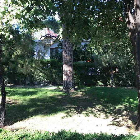 Hotel Pekcan