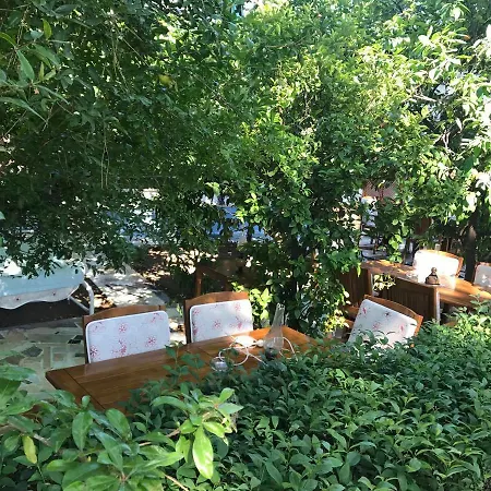 Pekcan Hotel 2*