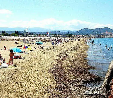 Pekcan 2*